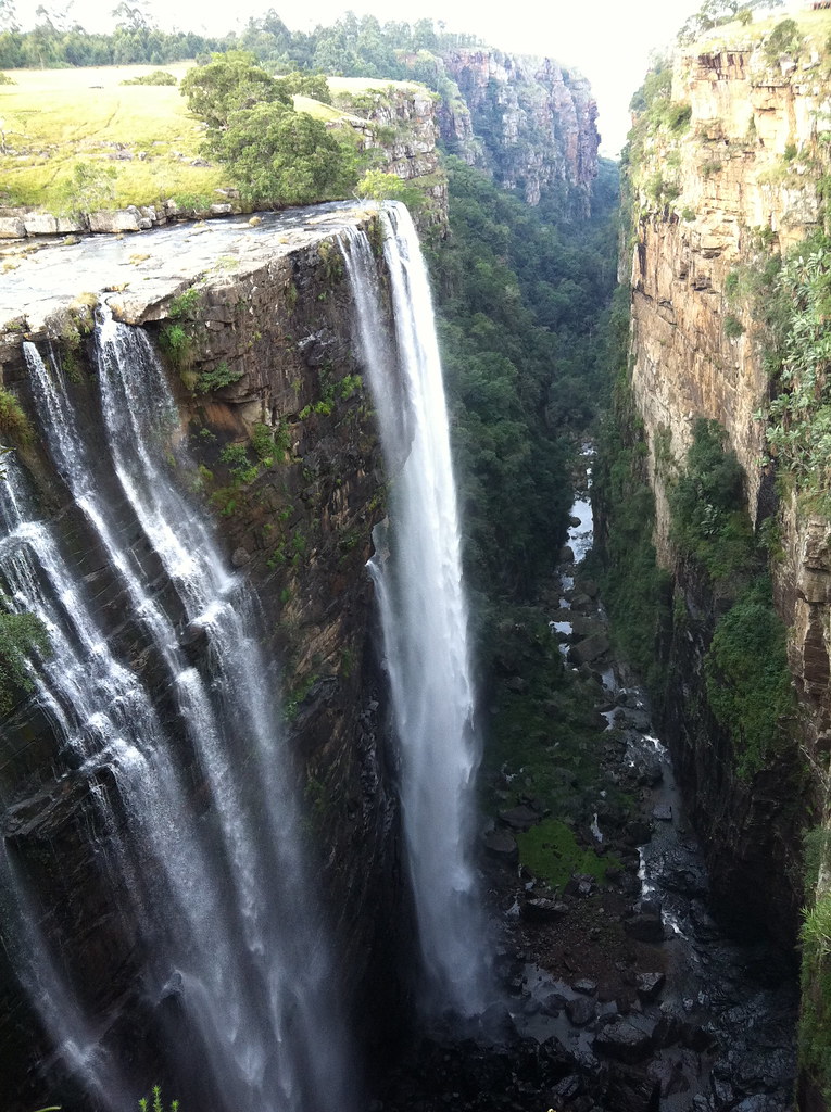 Filming in the African Jungle