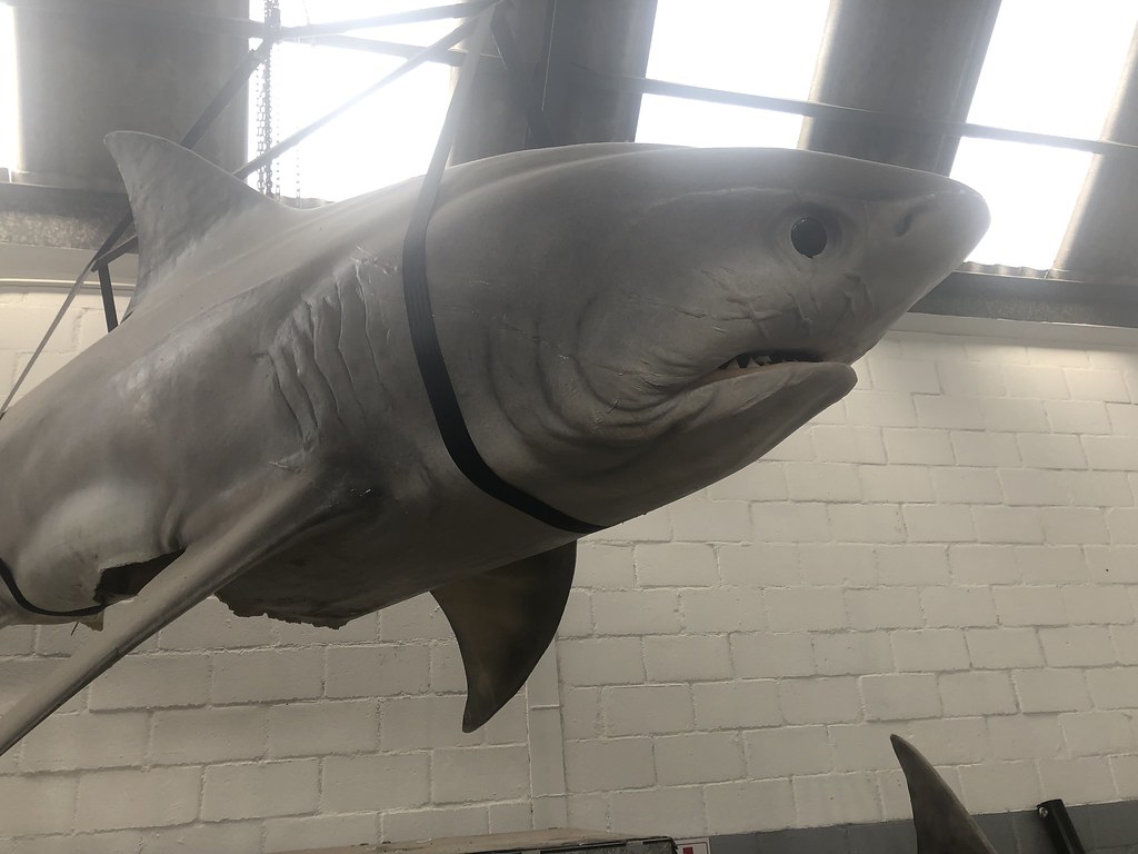 Warner Bros ark designed in 3D then prosthetic fabricated - life size