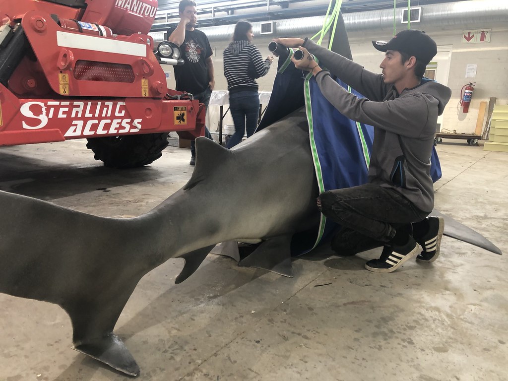 Warner Bros shark movie prosthetic full shark